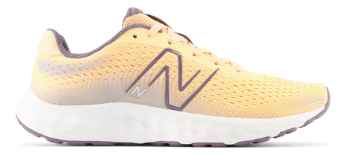 Championes New Balance De Dama - 520 - W520ft8