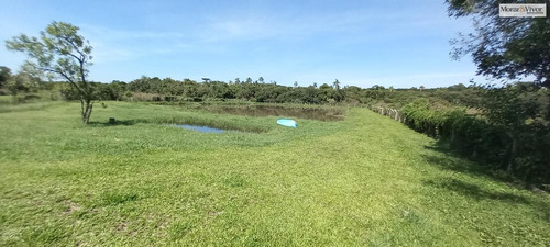 Imagem 2 de 15 de Chácara Para Venda Em São José Dos Pinhais, Agaraú - Cha2202_1-2421184