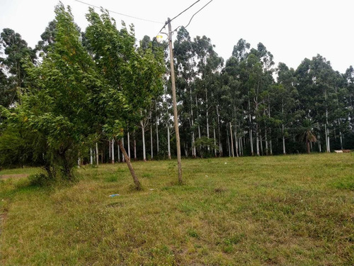 Imagen 1 de 14 de Terreno Lote En Colon Entre Ríos -vendo-permuto-financio-