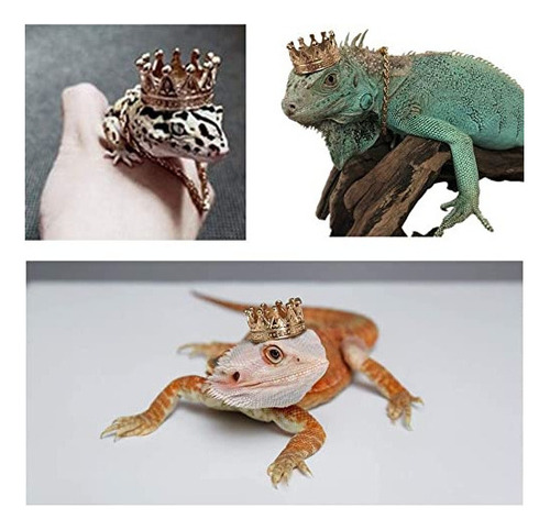 Kunbiuh Juego De 2 Collares Con Corona De Lagarto, Traje De