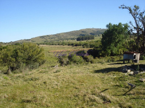 Imagen 6 de 18 de Campo 98 Has Con 2891 M2 En Carape Cuenta Con Costa De Arroyo.
