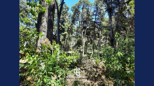 Imagen 4 de 13 de Venta Lote/terreno 1517 M2 Altos De Manzano Villa La Angostura