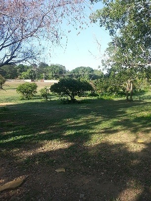 Imagen 3 de 12 de Venta De Finca De Caballos En Los Valles Del Tuy