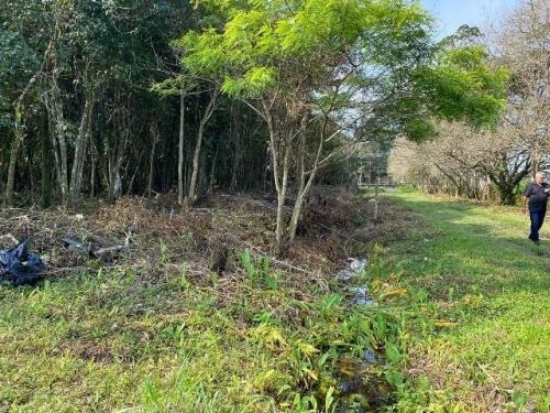 Imagem 8 de 15 de Terreno - 7250 - 68592105