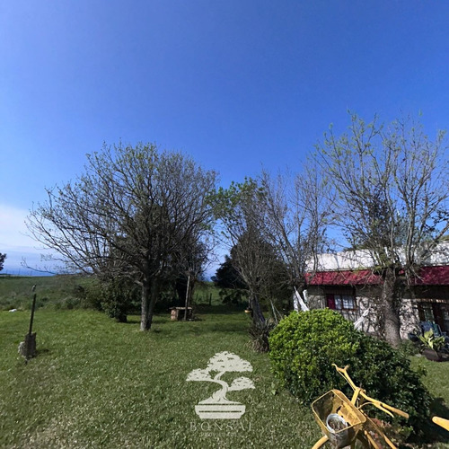 Venta De Chacra Con Casa Ruta 5 Florida Mp.
