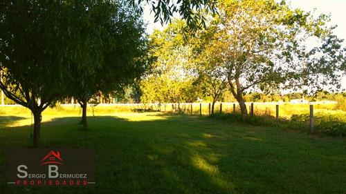 Imagen 12 de 14 de Venta-chacras-campo - Gral Lavalle-ruta 11/ Km 320