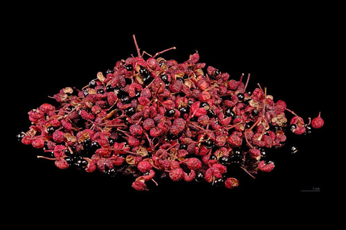 10 Semillas De Pimienta De Sichuan Garantia Autenticidad