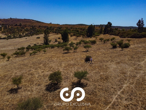 Se Vende Parcela En Sector Los Laureles Limache