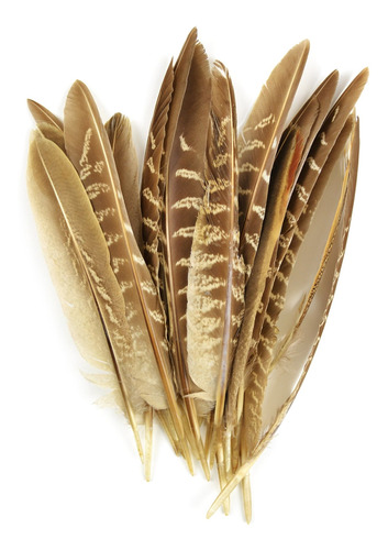 Touch Of Nature Faisant Wingquill In