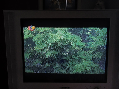 Imagen 2 de 4 de Televisor Samsung Convencional 21