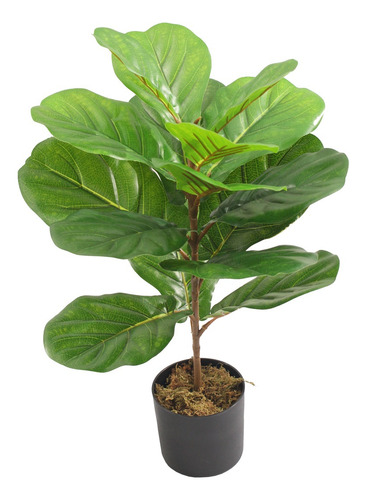 Planta Artificial Arbol Higuera Hoja De Violin Pandurata 60 Color Verde Musgo