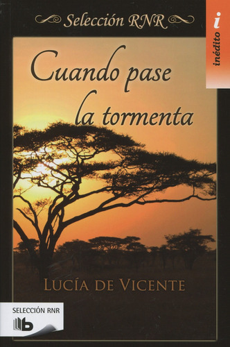 Cuando pase la tormenta, de De Vicente, Lucía. Serie B de Bolsillo Editorial B de Bolsillo, tapa blanda en español, 2016