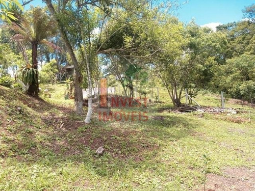 Imagem 15 de 15 de Chacara - Ref: 6534 - V-6534