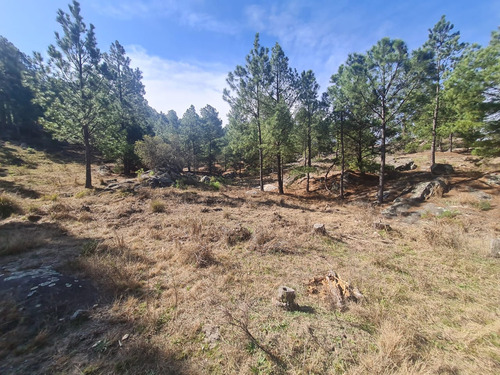 Macrolote En Venta San Clemente