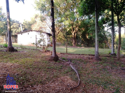 Imagem 23 de 30 de Linda Chácara De 5.700 Metros Com Fundo Para O Rio Atibaia À Venda Em Recreio Tsuriba, Campinas - Ch00991 - 69815753