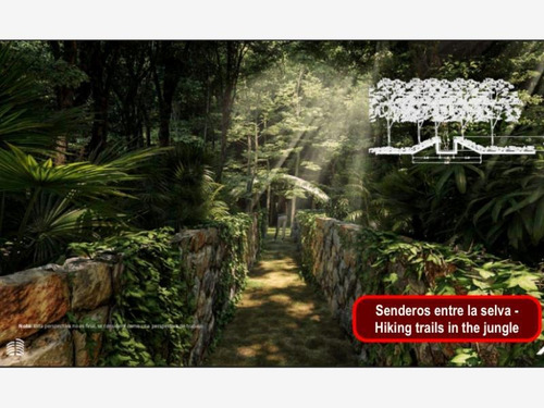 Imagen 7 de 12 de Terreno En Venta Avenida Coba