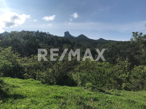 Terreno En Venta.