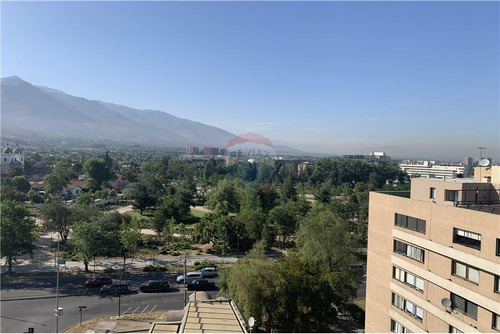 Insuperable Vista Y Conectividad En Los Domínicos