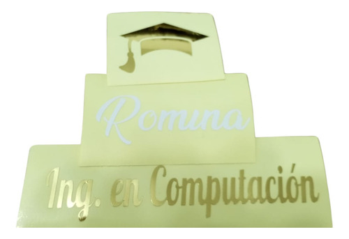 50 Stickers Personalizados Graduación 2 Colores