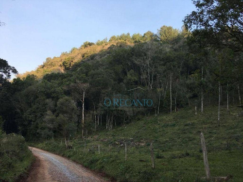 Imagem 11 de 11 de Sítio À Venda, 88634 M² Por R$ 1.055.000,00 - Linha Furna - Gramado/rs - Si0107