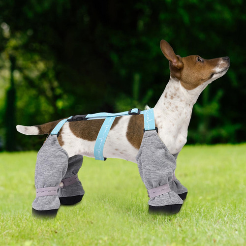 Botas Impermeables Para Perros Botas Para Perros Protectores