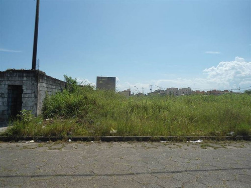 Imagem 1 de 1 de Terreno - Venda - Cibratel - Itanhaem - Ita2684