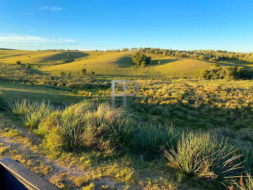 Imagen 11 de 13 de Campo En Venta Garzon 8 Has #1698