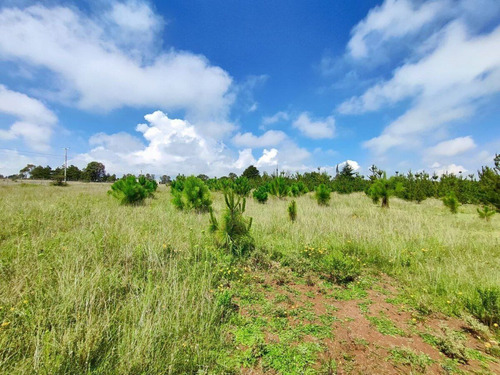 Terreno En Venta En Amealco