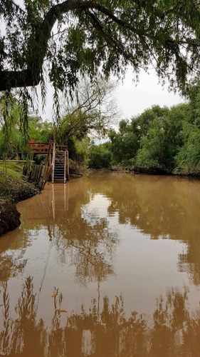 Imagen 29 de 30 de Lote Venta 2da Sección Delta Islas Sobre Paraná De L. Palma