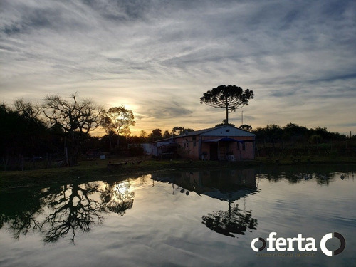 Imagem 1 de 15 de Chacara Com Casa - Rodeiozinho - Ref: 743 - V-743