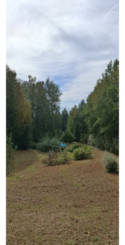Preciosa Casa En Parcela Alto Pinar Villarrica Con Recepción