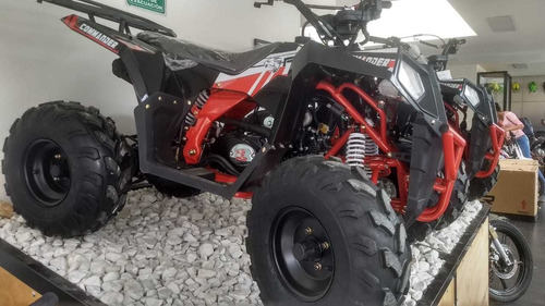 Cuatrimoto Polar 110 Motor 4t