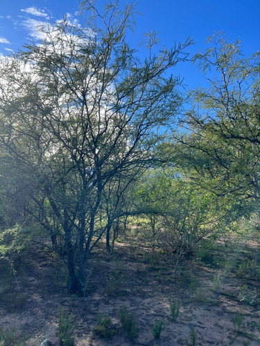 Lote De 1535 M2 Con Escritura En Quebrada De Los Pozos / Villa De Las Rosas - Traslasierra