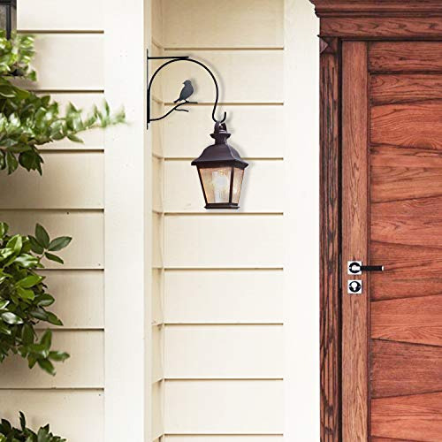 Soporte Para Colgar Plantas Brave Snail, 10 Pulgadas, Paquet
