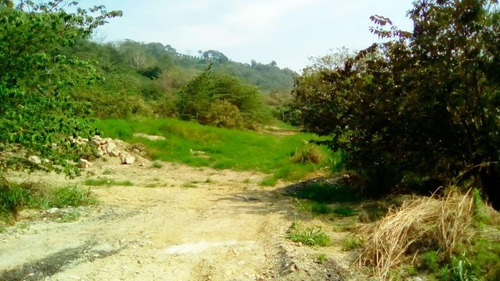 Terreno Venta Poza Rica De Hidalgo Veracruz 2000 M²