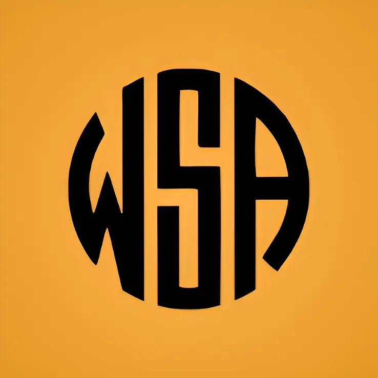 WSA ACESSORIOS LTDA