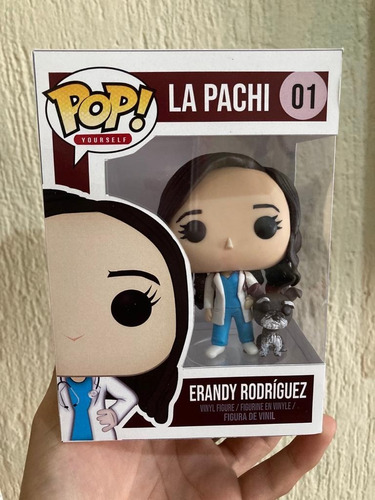 Imagen 1 de 8 de Funko Pop Personalizado ¡express! + Caja+ Mascota