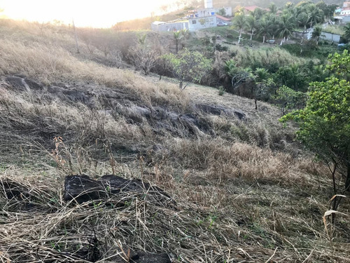 Imagem 6 de 14 de Sítio 10.000 M² Em Pedra De Guaratiba