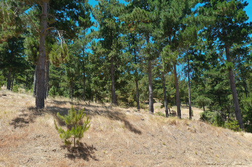 Excelente Terreno En Boyeruca