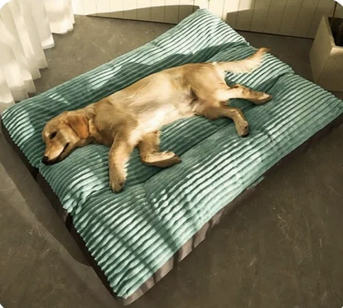 Cama Colchon Premium Con Cierre Mascotas Perros Xxl 120 Cms