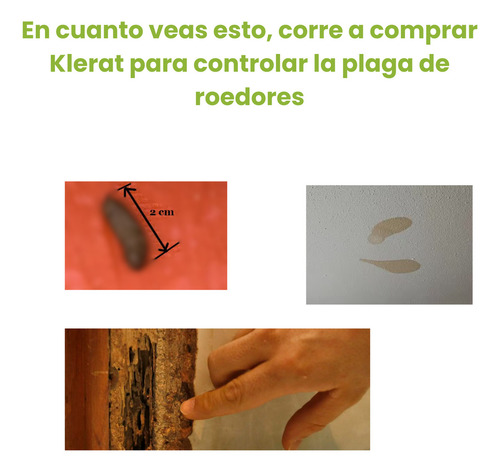 Insecticida Para Ratas Que Las Seca Cebo Para Ratas 1kg
