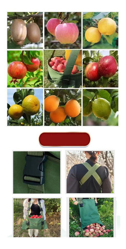 Bolsa De Recolección De Frutas Bolsa De Supermercado Cesta
