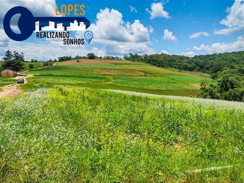 Imagem 17 de 26 de 17o Terrenos Bem Localizados