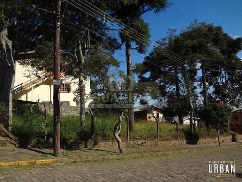 Imagem 2 de 2 de Terreno - Universitario - Ref: 207792 - V-207904