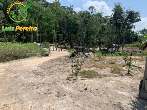Imagem 6 de 15 de Fazenda À Venda Em Pacajá - Pa - 968 Hectares (pecuária) - 1996