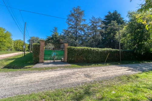 Imagen 8 de 17 de Lote En Venta En Villa Elisa
