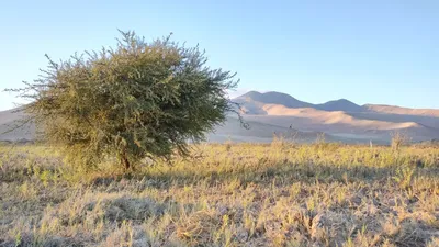 Parcela en venta