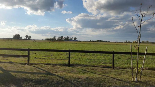Campo Venta - 1,2 Hectáreas - Chacras De La Trinidad