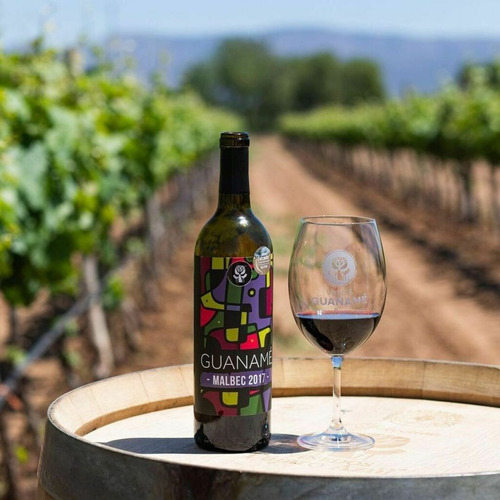 Vino Tinto Guaname Malbec Pack 6 Botellas