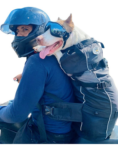 Mochila Portátil Para Perros Para Viajes Al Aire Libre